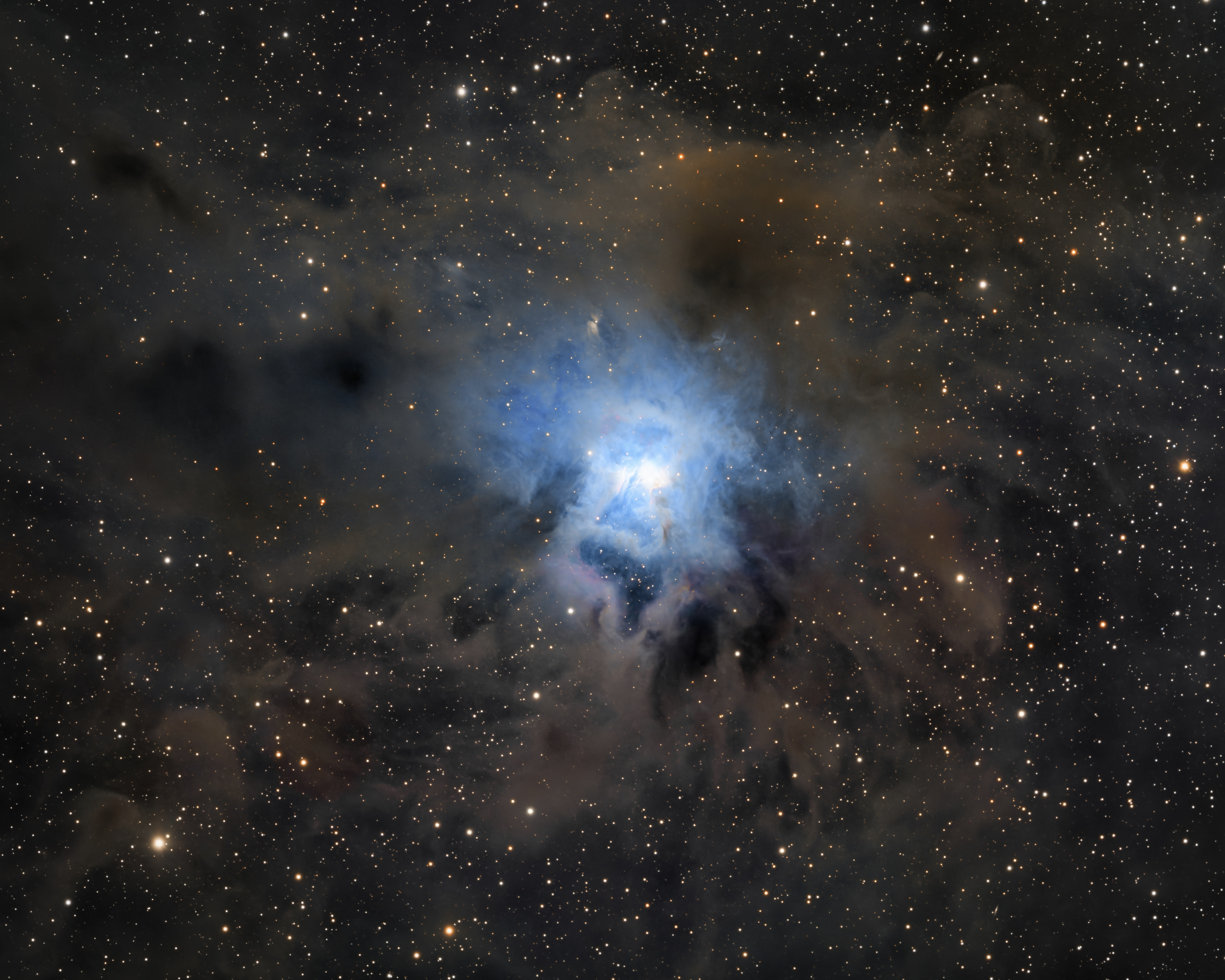 NGC7023 Iris Nebula